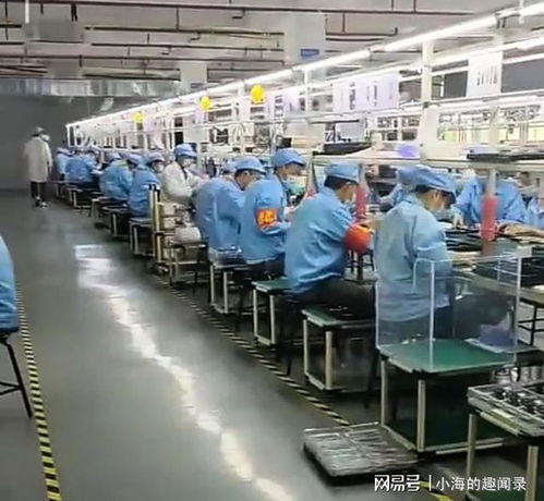 985名校畢業(yè)，三個月蟬聯(lián)二手包銷售冠軍 學(xué)霸的跨界逆襲